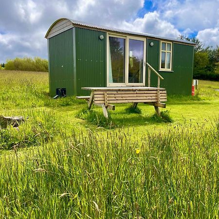 Villa Stepping Stones Glamping 'The Olive' à Bantry Extérieur photo