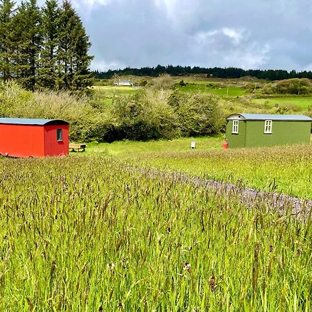 Villa Stepping Stones Glamping 'The Olive' à Bantry Extérieur photo