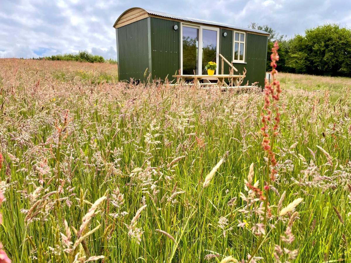 Villa Stepping Stones Glamping 'The Olive' à Bantry Extérieur photo