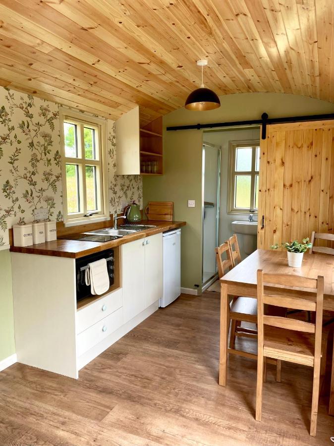 Villa Stepping Stones Glamping 'The Olive' à Bantry Extérieur photo