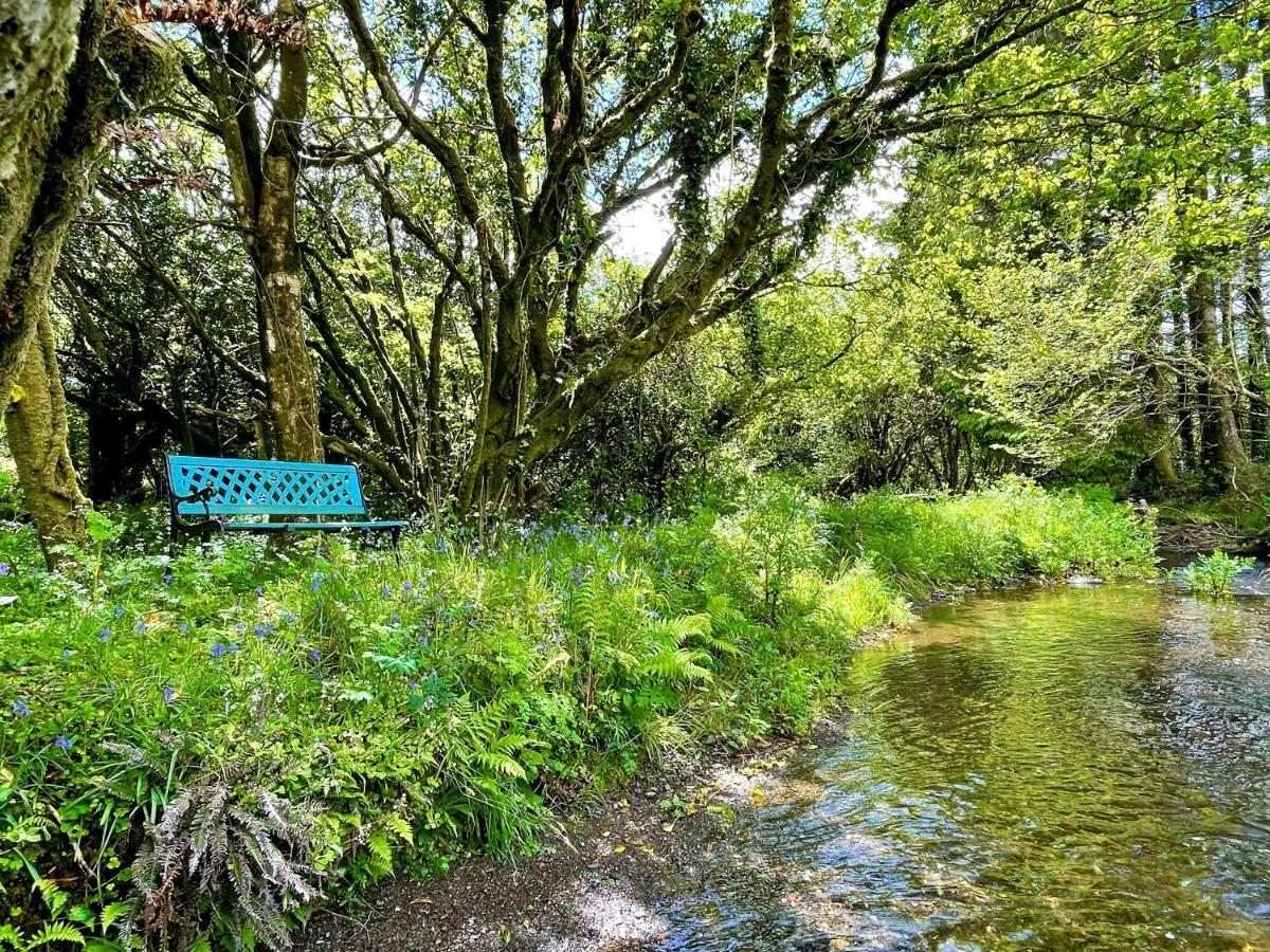Villa Stepping Stones Glamping 'The Olive' à Bantry Extérieur photo