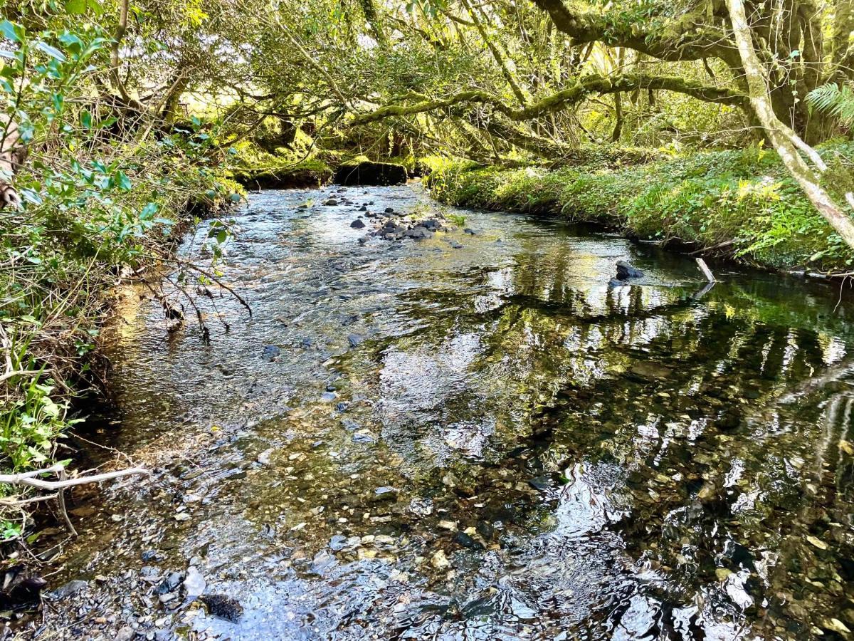 Villa Stepping Stones Glamping 'The Olive' à Bantry Extérieur photo