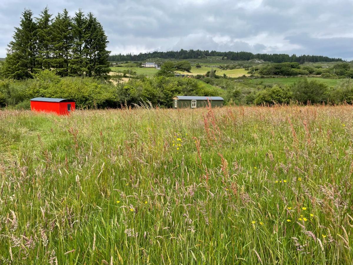 Villa Stepping Stones Glamping 'The Olive' à Bantry Extérieur photo