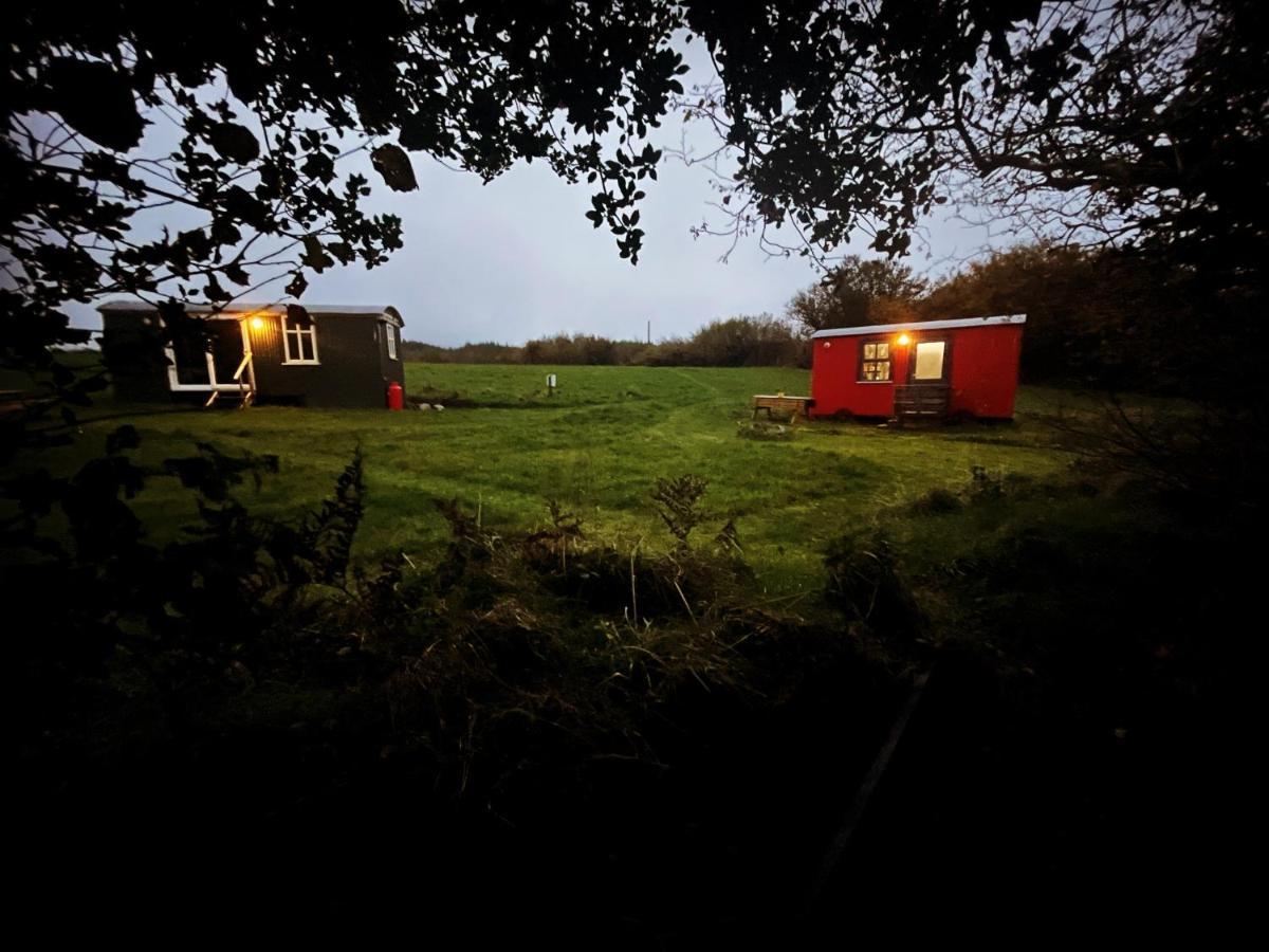 Villa Stepping Stones Glamping 'The Olive' à Bantry Extérieur photo