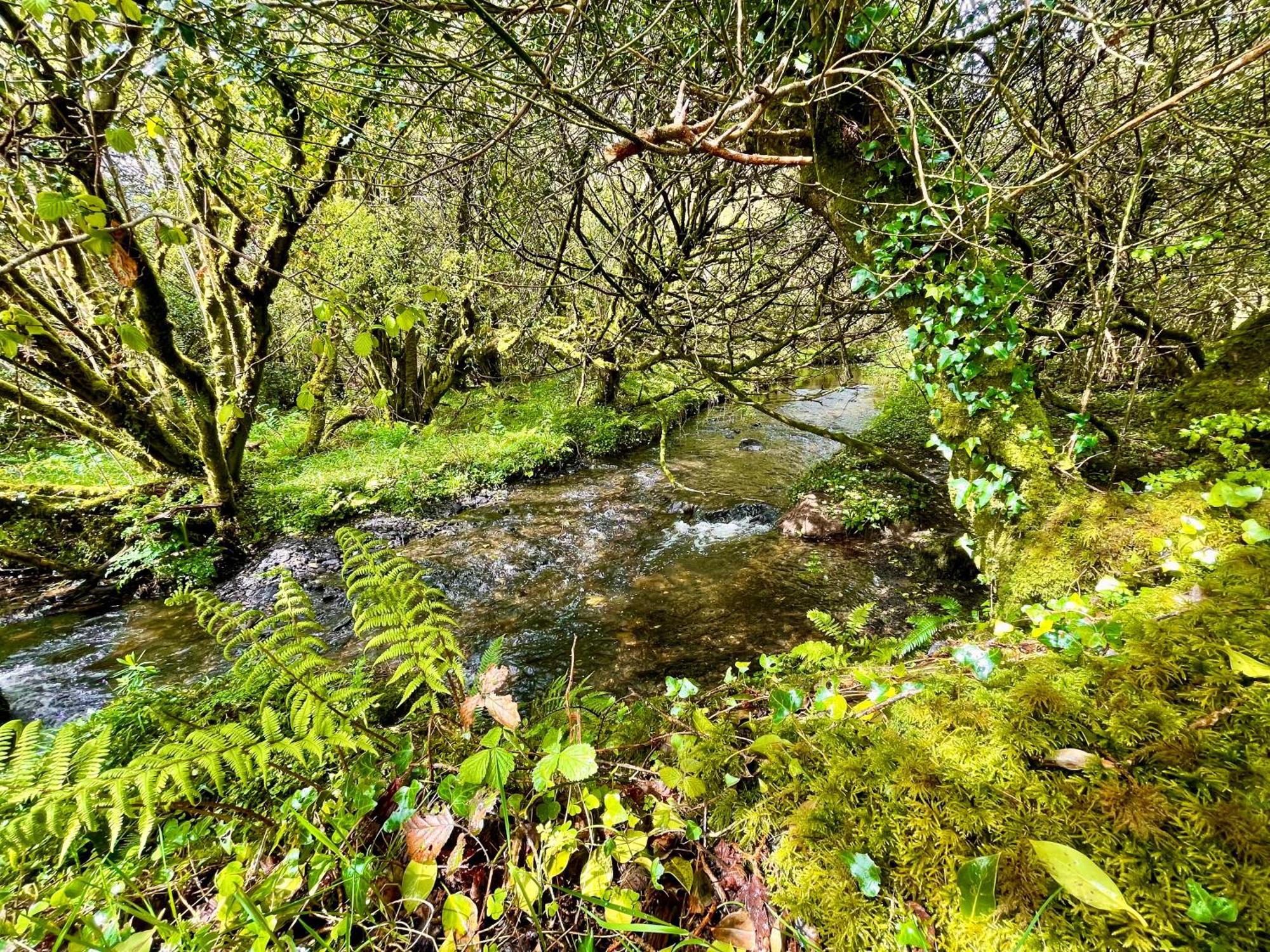 Villa Stepping Stones Glamping 'The Olive' à Bantry Extérieur photo
